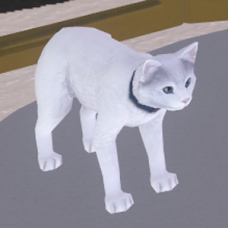 White Cat